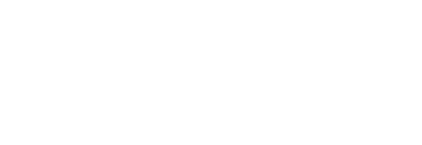 نظم الرؤية الذكية — SVS Smart Vision System